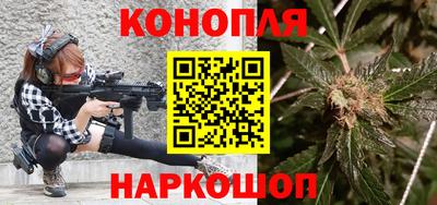 индика Лесосибирск