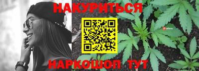 индика Лесосибирск