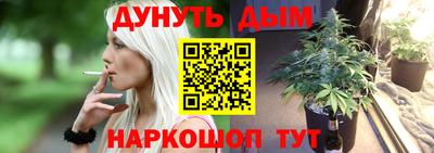 индика Лесосибирск